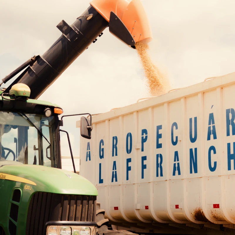 Como a integração lavoura-pecuária aumenta a produtividade no campo